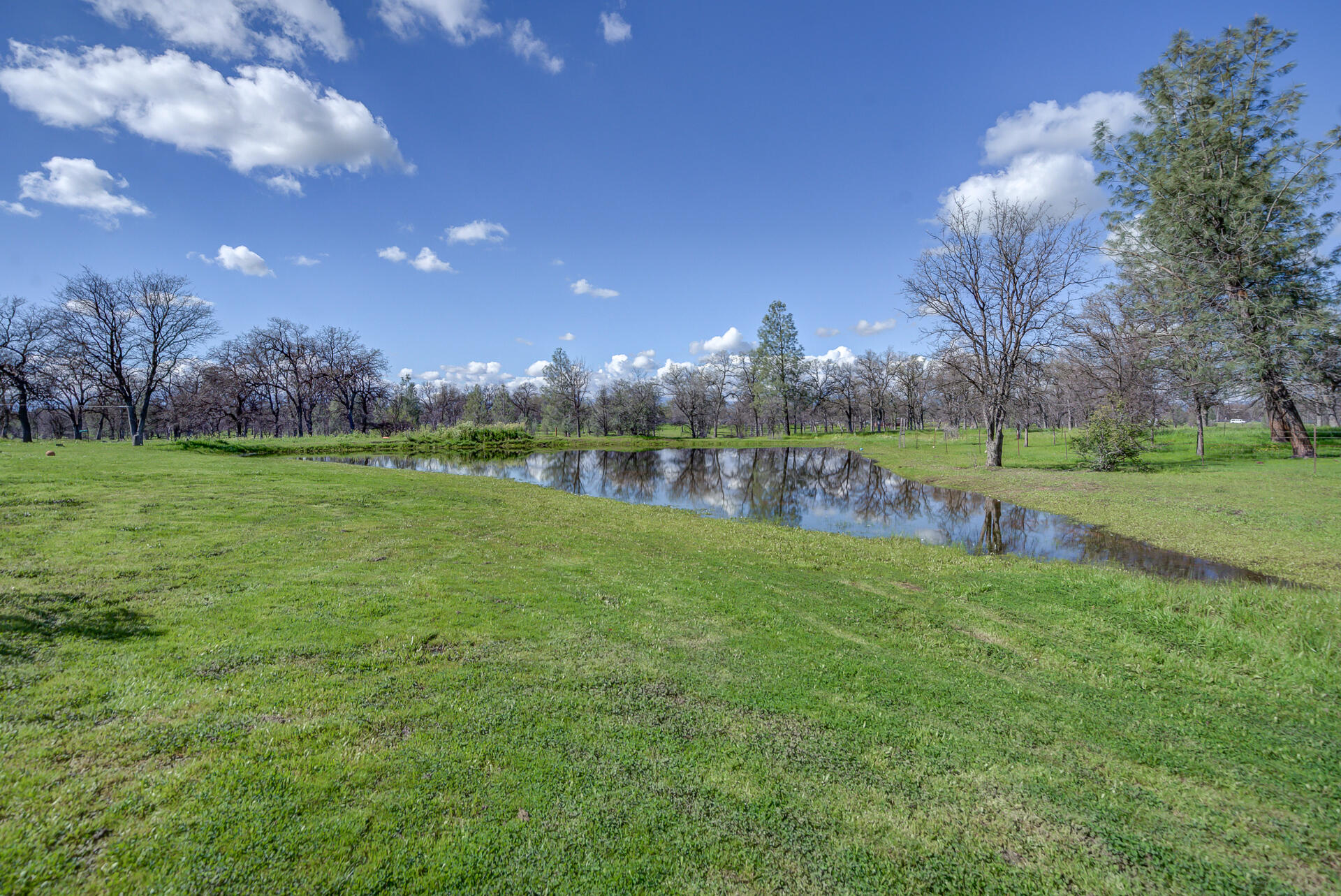 11636 Homestead Lane Redding, CA 96003 - Photo 32 of 37 a view of a green field