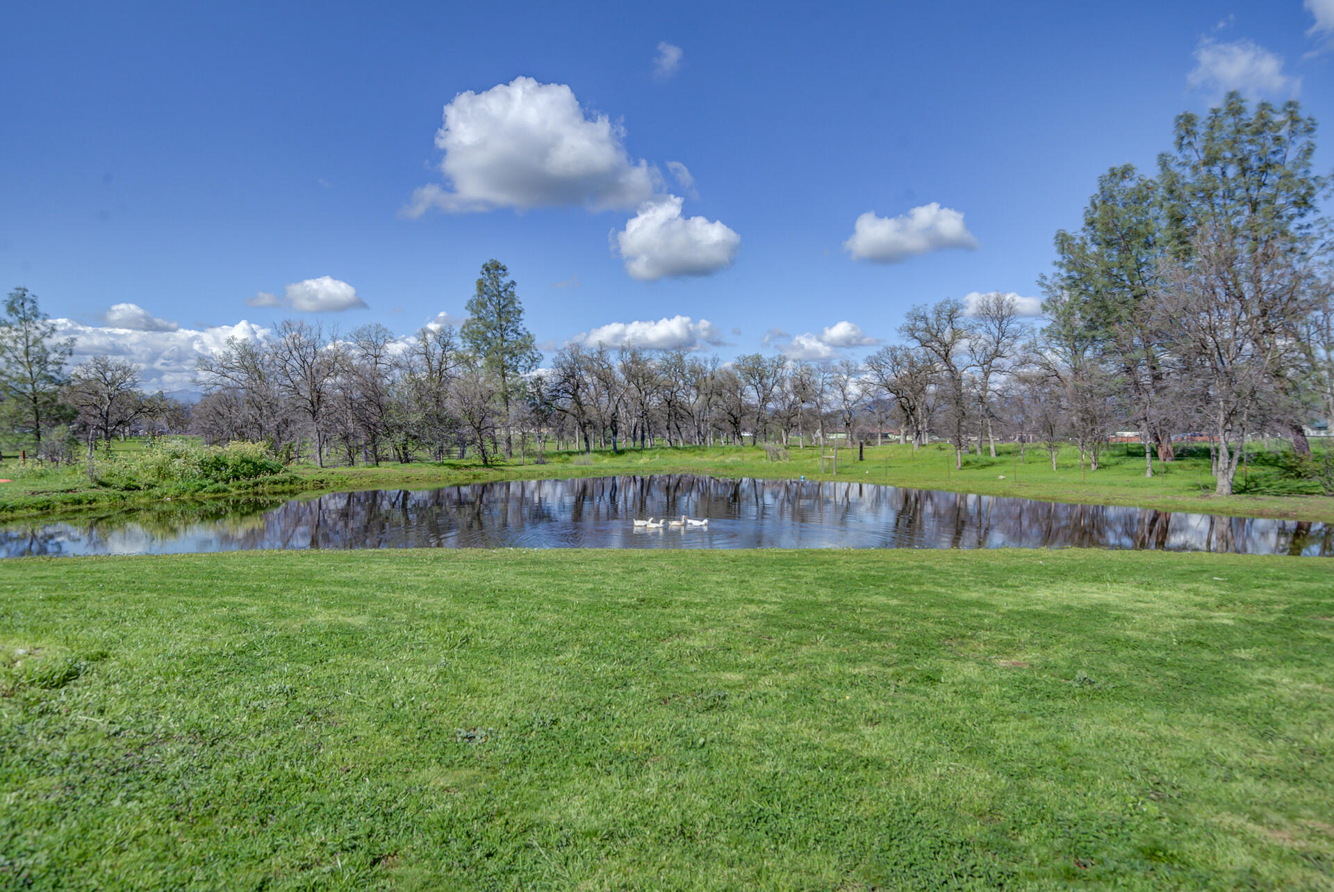 11636 Homestead Lane Redding, CA 96003 - Photo 34 of 37 a view of a big yard