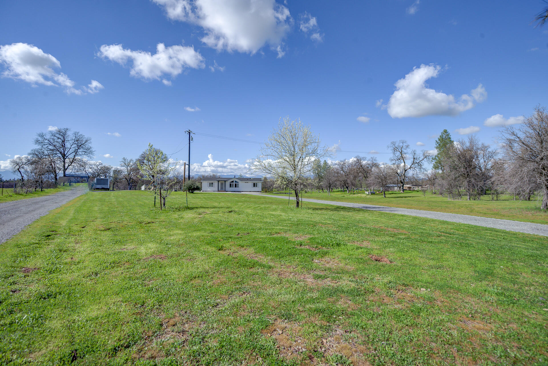 11636 Homestead Lane Redding, CA 96003 - Photo 35 of 37 a view of a big yard