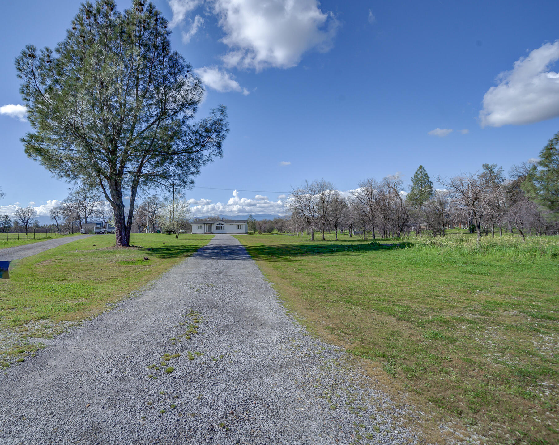 11636 Homestead Lane Redding, CA 96003 - Photo 36 of 37 a view of a park
