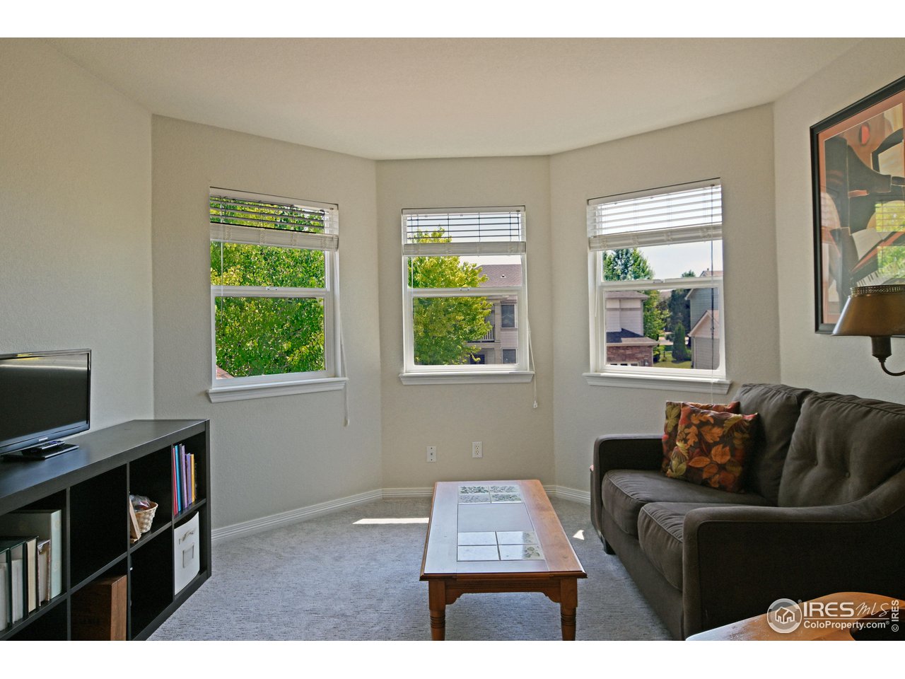 8113 Northstar Drive Windsor, CO 80528 - Photo 17 of 40 a living room with furniture and a flat screen tv