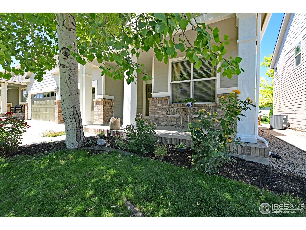 8113 Northstar Drive Windsor, CO 80528 - Photo 3 of 40 a view of backyard with potted plants and a large tree