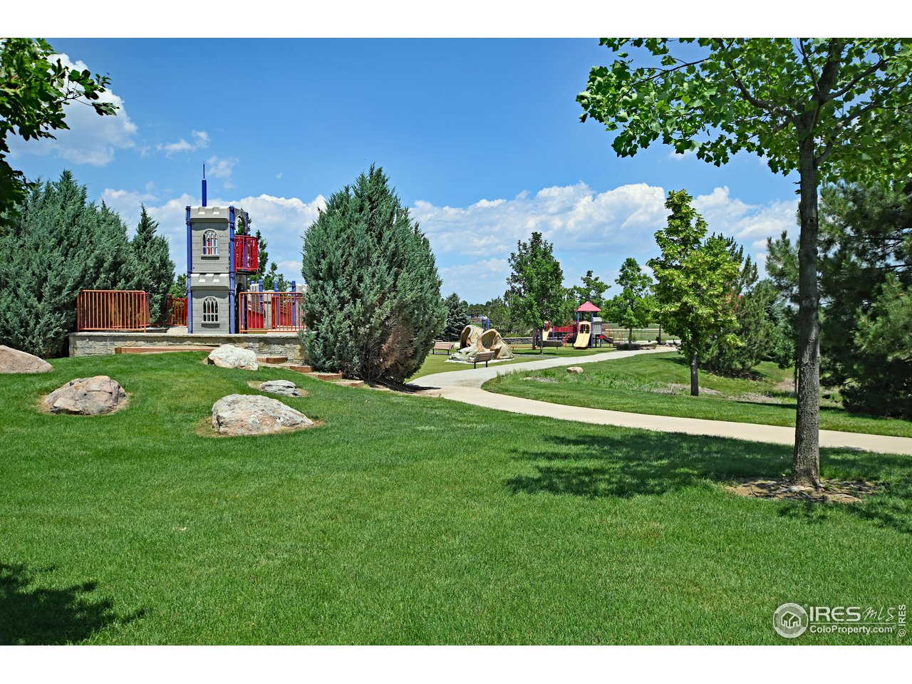 8113 Northstar Drive Windsor, CO 80528 - Photo 40 of 40 a view of a park with large trees
