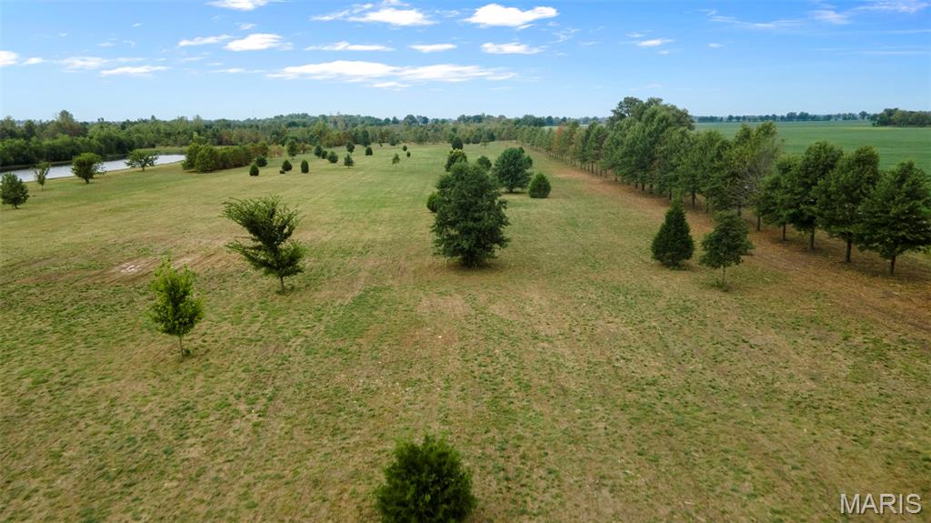 Lot 10 County Highway Benton, MO 63736 - Photo 16 of 22