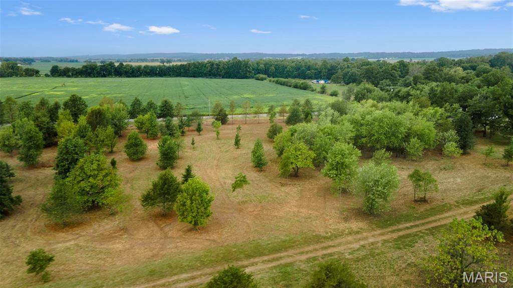 Lot 10 County Highway Benton, MO 63736 - Photo 7 of 22