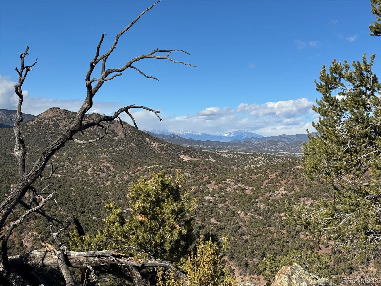 402 Trailridge Road Coaldale, CO 81222 - Photo 48 of 50 a view of a yard