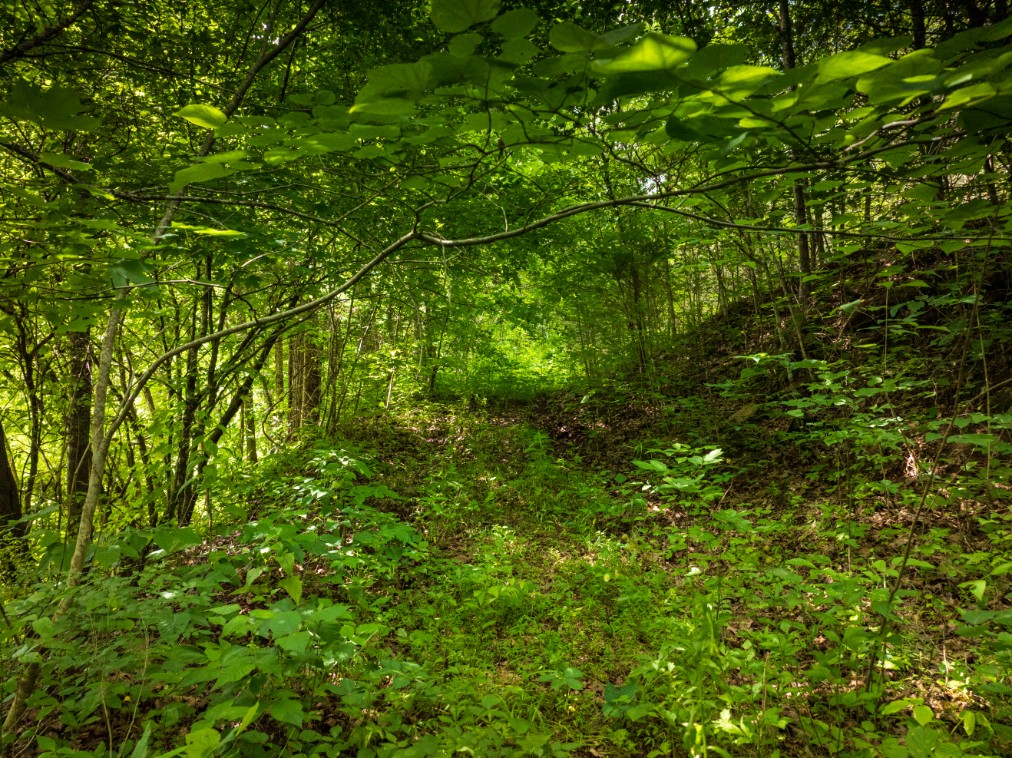0 Round Barn Road Powder Springs, TN 37848 - Photo 14 of 40