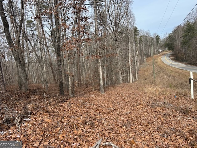 0 Holly Springs Road, Unit TRACT 1 Toccoa, GA 30577 - Photo 2 of 8