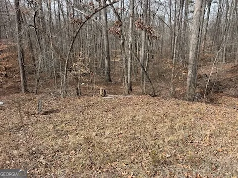 $30,000 | 0 Holly Springs Road, Unit TRACT 1, Toccoa, GA 30577