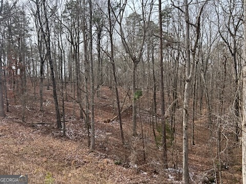 0 Holly Springs Road, Unit TRACT 1 Toccoa, GA 30577 - Photo 5 of 8