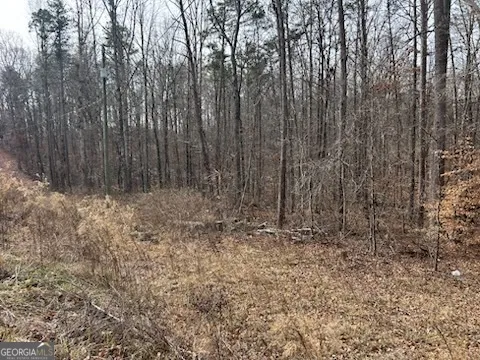 $30,000 | 0 Holly Springs Road, Unit TRACT 1, Toccoa, GA 30577