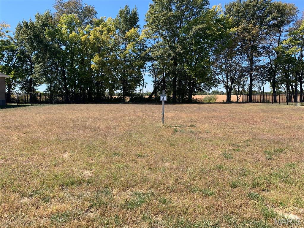 433 Foxtail Drive Freeburg, IL 62243 - Photo 4 of 15