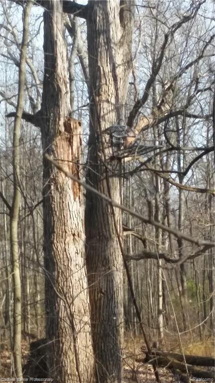 Eight West Eight Mile Road South Lyon, MI 48178 - Photo 10 of 58