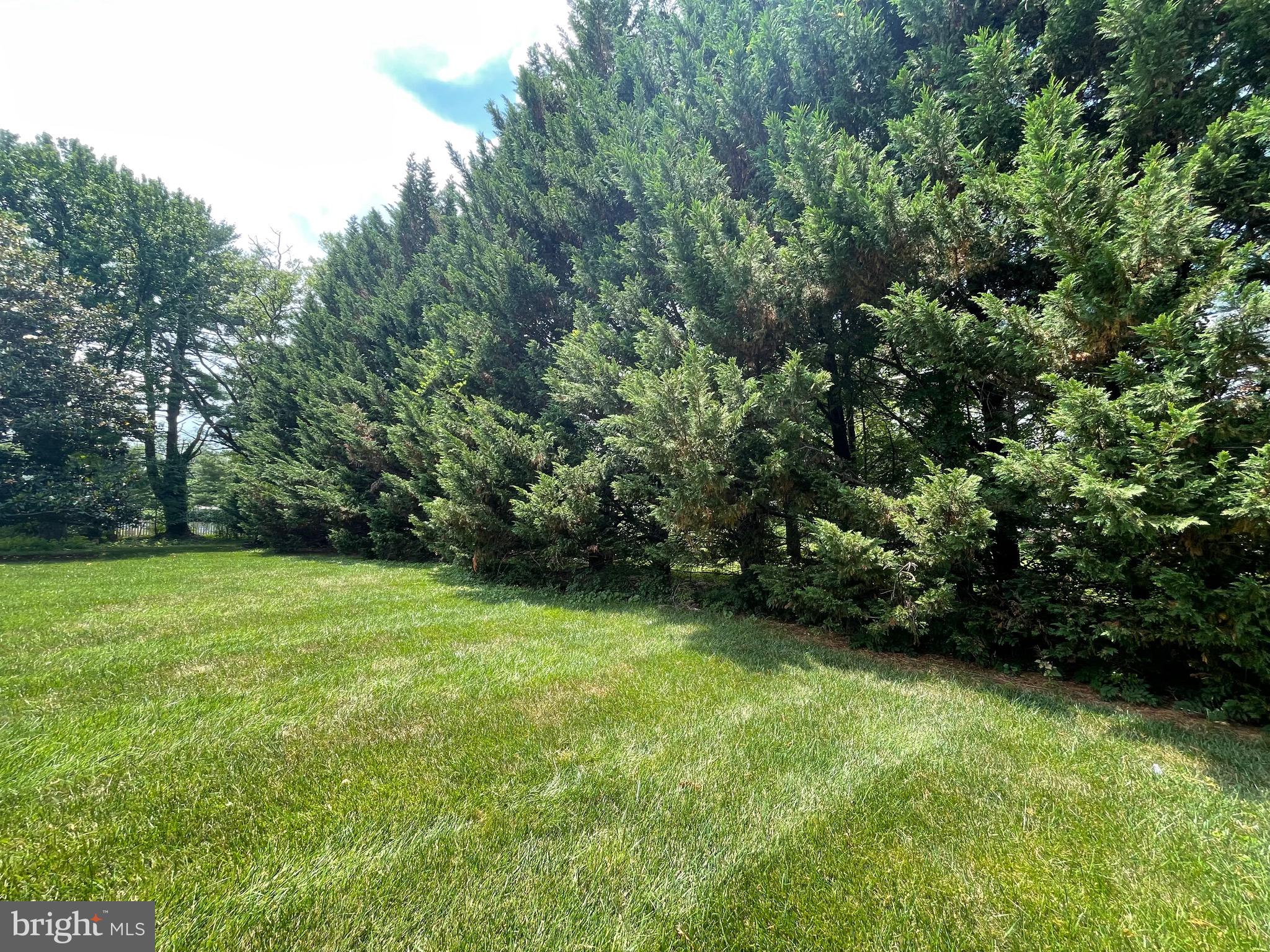 402 Ivy Church Road Lutherville-Timonium, MD 21093 - Photo 16 of 63 a view of a green yard