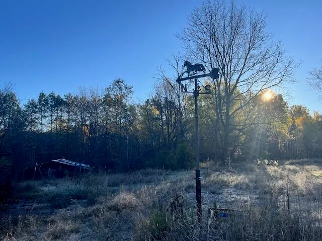 $34,500 | 9955 Wiitala Road, Copemish, MI 49625