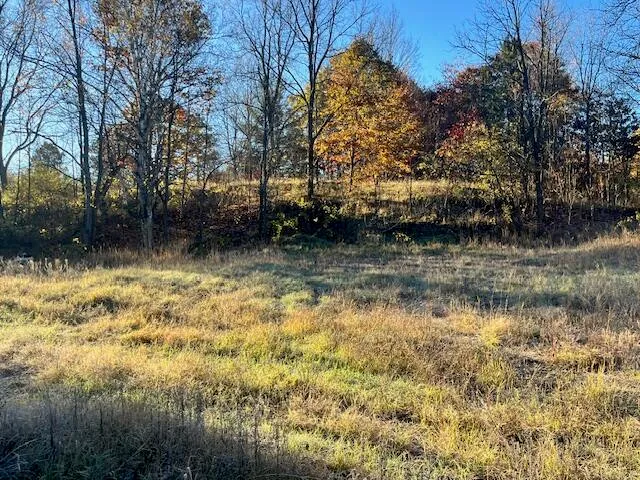 $34,500 | 9955 Wiitala Road, Copemish, MI 49625