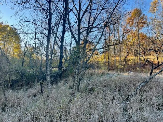 $34,500 | 9955 Wiitala Road, Copemish, MI 49625