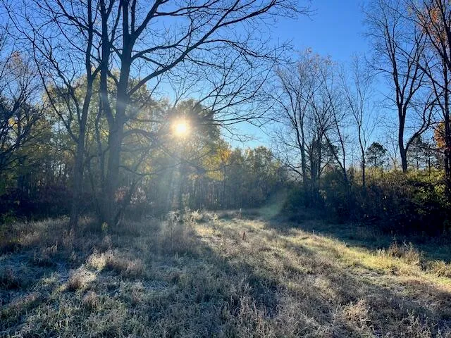 $34,500 | 9955 Wiitala Road, Copemish, MI 49625