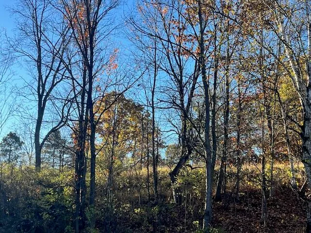 $34,500 | 9955 Wiitala Road, Copemish, MI 49625