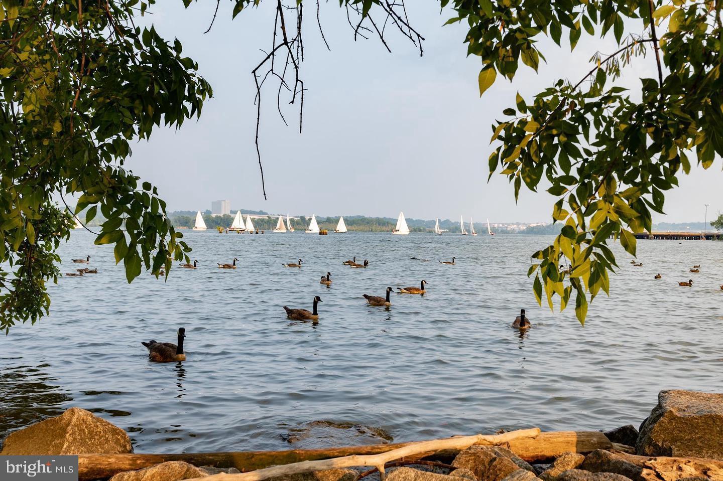 801 North Pitt Street, Unit 1206 Alexandria, VA 22314 - Photo 32 of 37 a view of ocean view