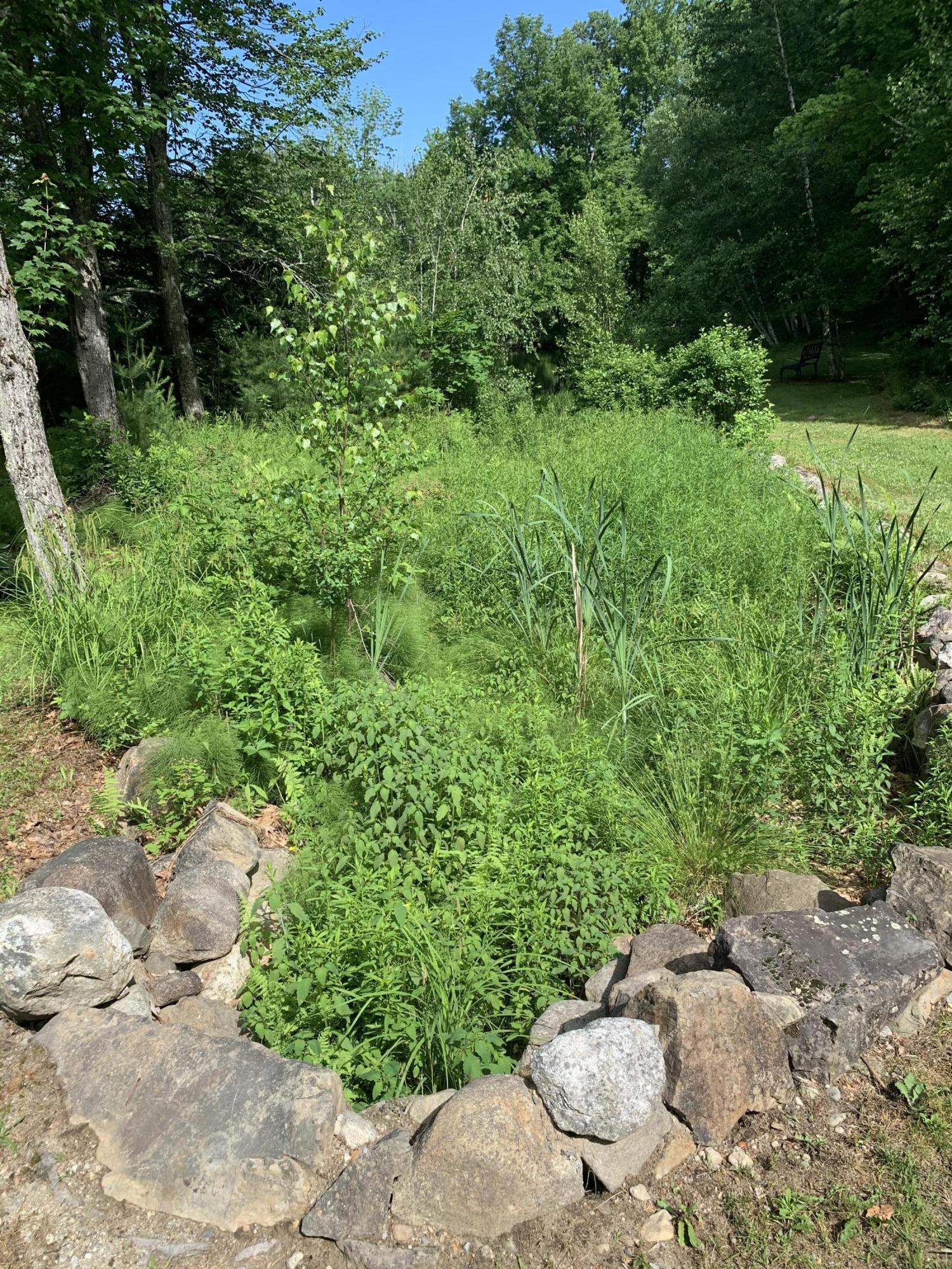 1721 Foxes Ridge Road Acton, ME 04001 - Photo 18 of 49 Photo Jun 25, 10 01 22 AM