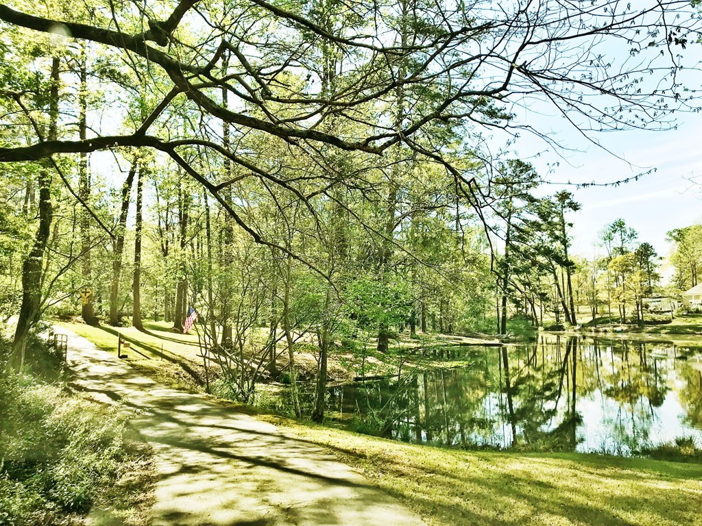 7746 Whittle Road Macon, GA 31220 - Photo 2 of 6 a view of a big yard with wooden fence