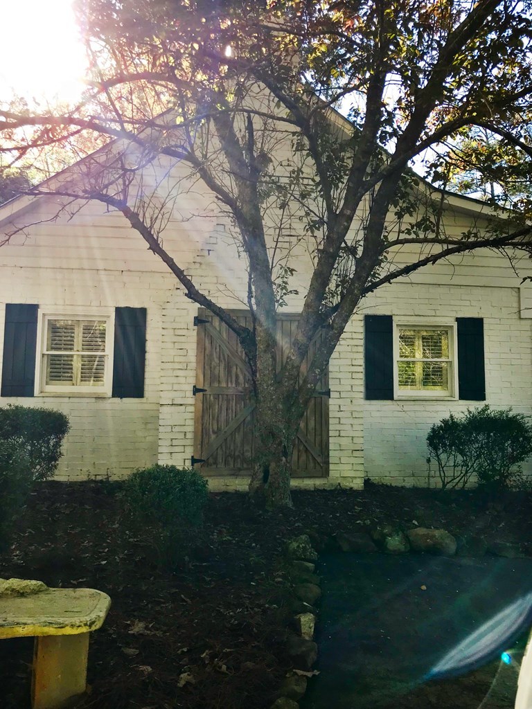 7746 Whittle Road Macon, GA 31220 - Photo 5 of 6 a view of a yard with plants and a large tree