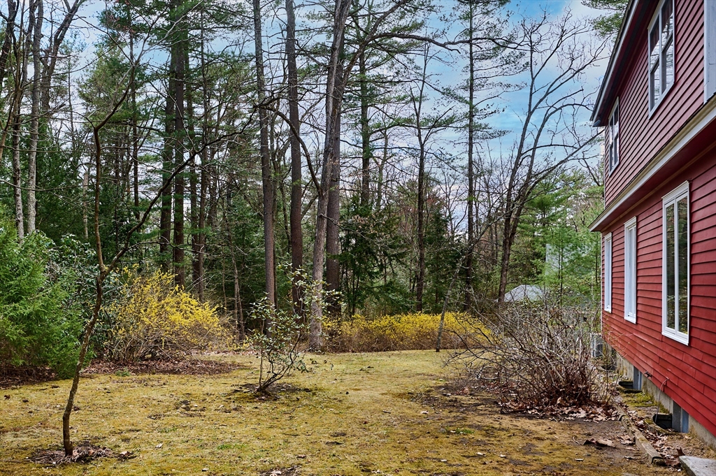 33 Echo Hill Road Amherst, MA 01002 - Photo 33 of 37 a view of a yard with plants and trees