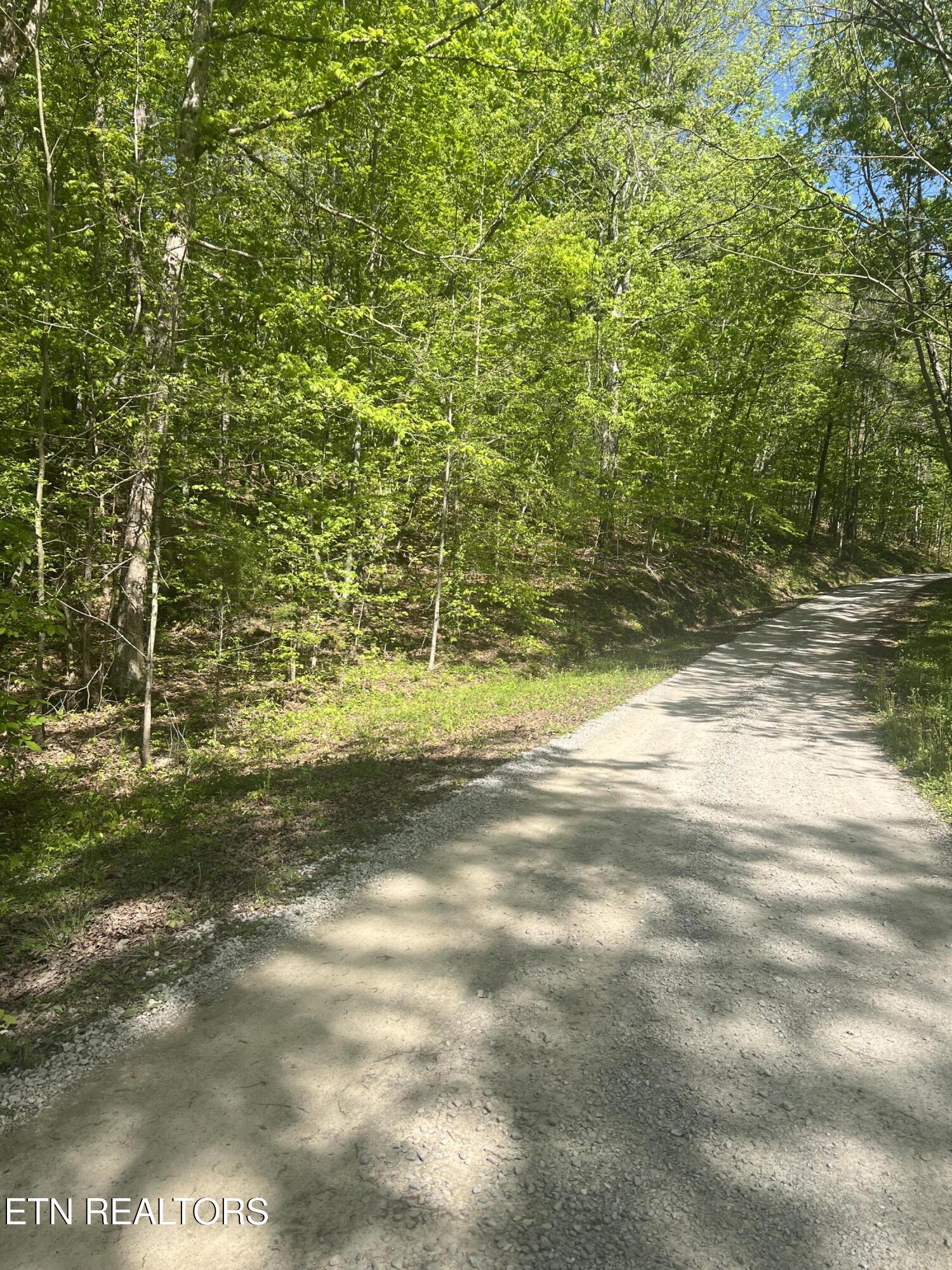 0 Lake Overlook Dr Spring Spring City, TN 37381 - Photo 5 of 5 IMG_1892
