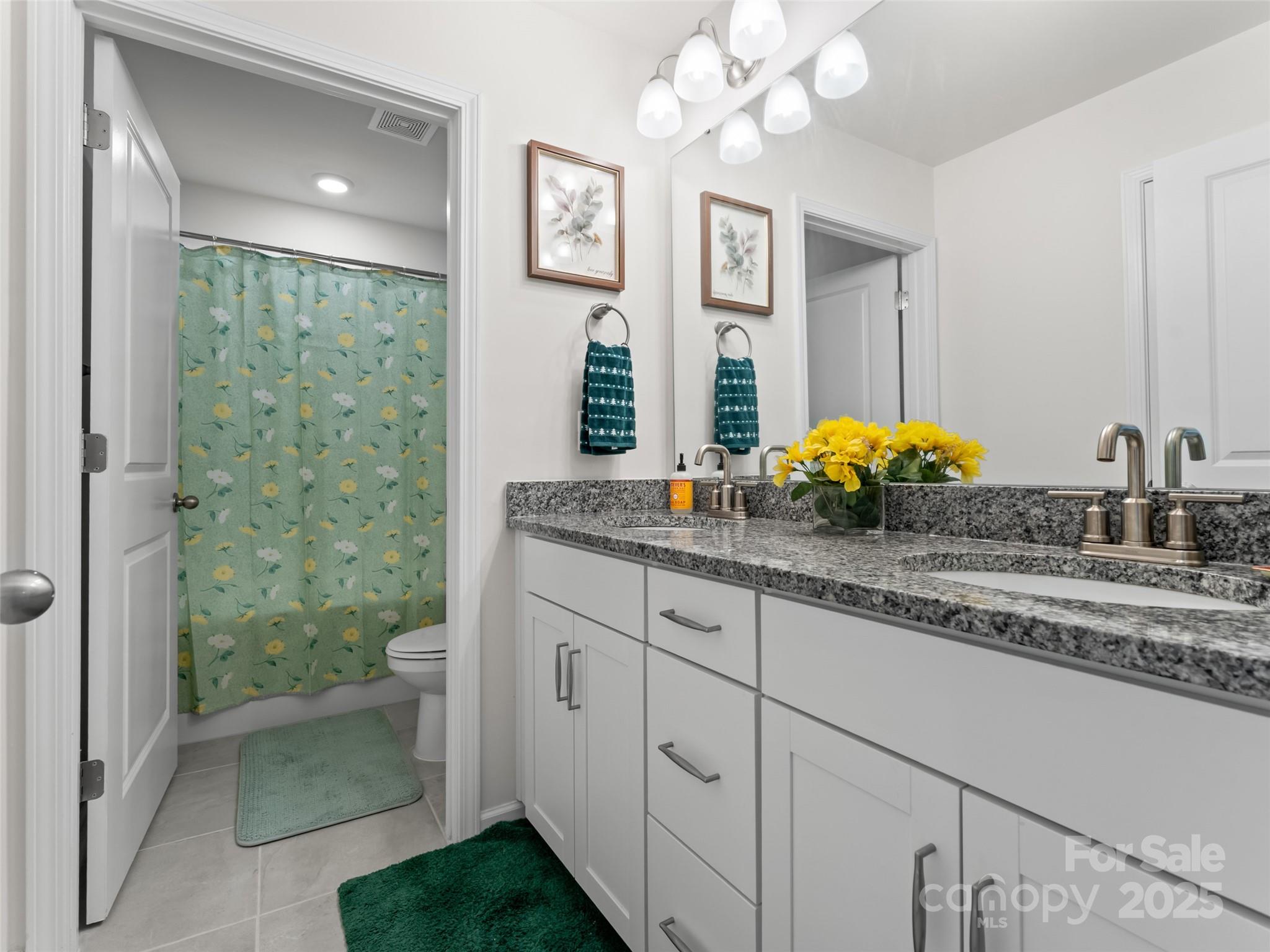 108 Thornberry Road Hendersonville, NC 28792 - Photo 28 of 42 a bathroom with a sink and a mirror