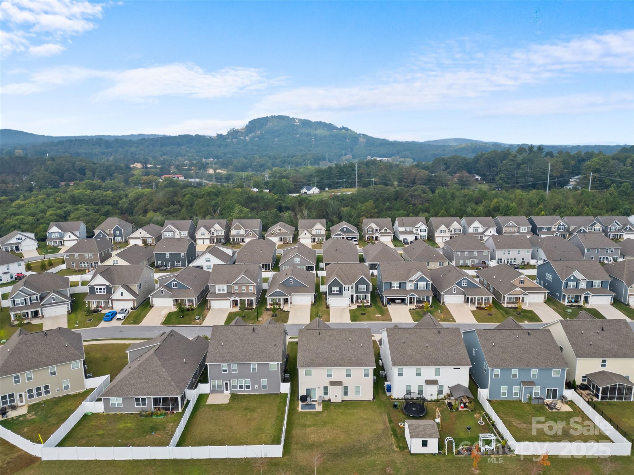 108 Thornberry Road Hendersonville, NC 28792 - Photo 41 of 42 an aerial view of residential houses with outdoor space and river