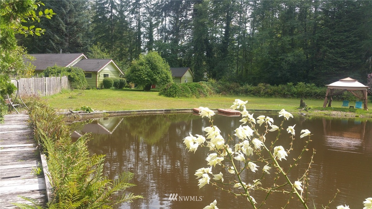 15 Upper Falls Creek Road Elma, WA 98541 - Photo 1 of 21 Gallery Image 1