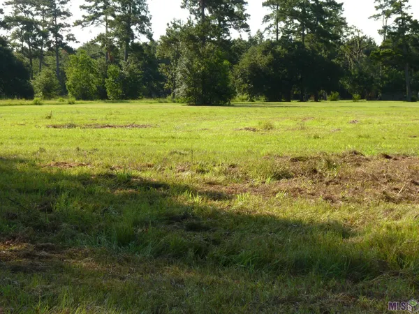 $22,500 | Lot 11 Lynda, Springfield, LA 70462