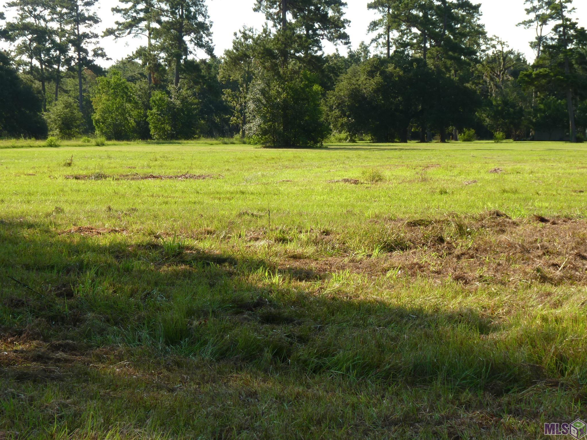 Lot 11 Lynda Springfield, LA 70462 - Photo 1 of 2