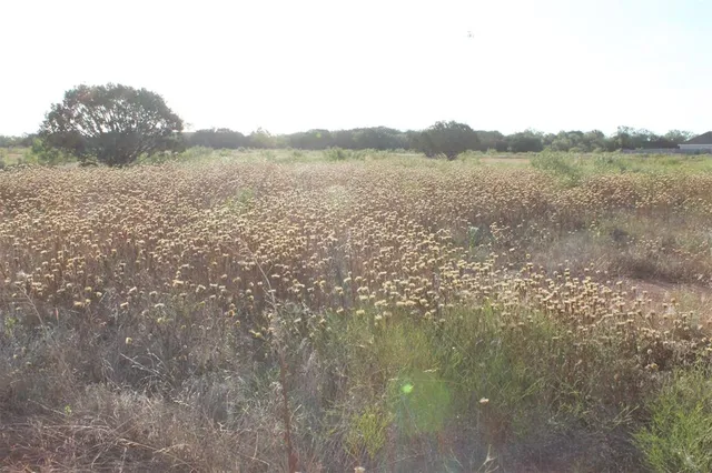 a view of lake and mountain
