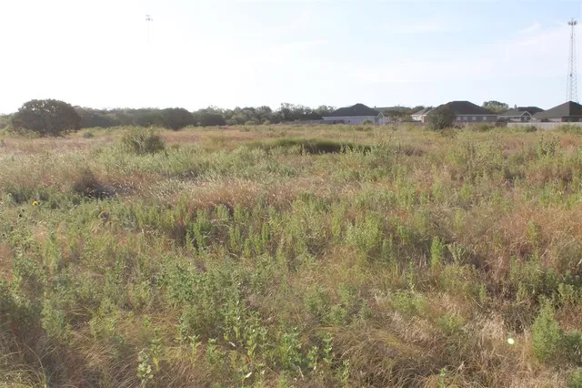 a view of a mountain in the distance in a field