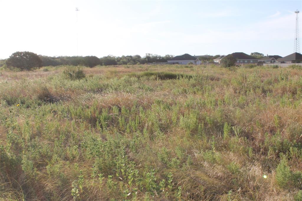 Tbd Tbd Us-83 Tuscola, TX 79562 - Photo 4 of 10 a view of a mountain in the distance in a field