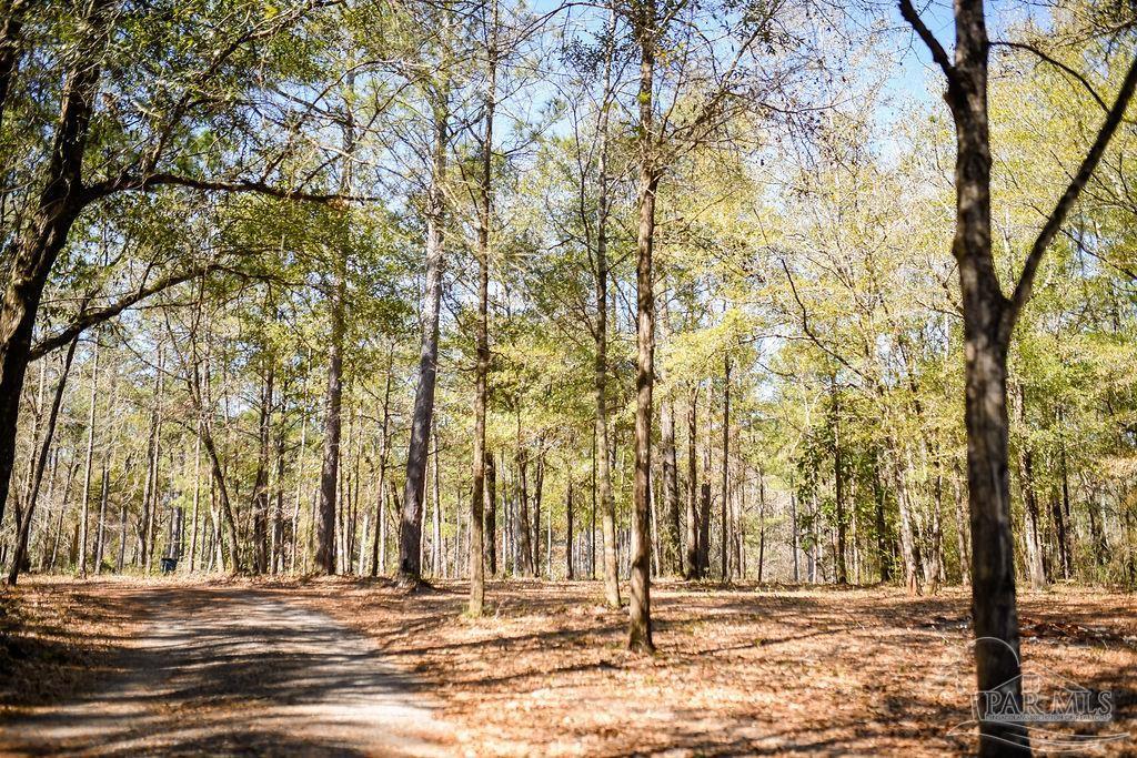 1488 Sardis Church Road Atmore, AL 36502 - Photo 2 of 33