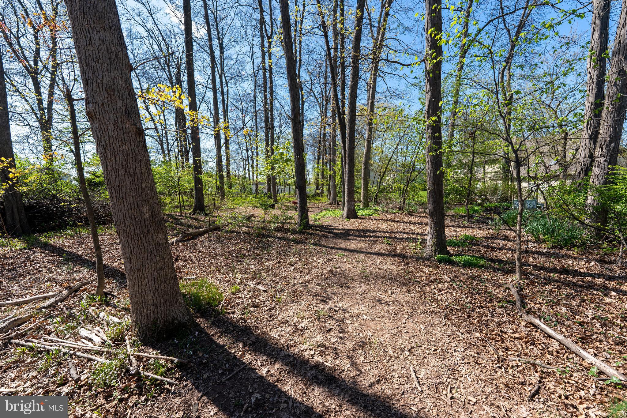 491 Moyer Road Harleysville, PA 19438 - Photo 46 of 51 Gallery Image 46