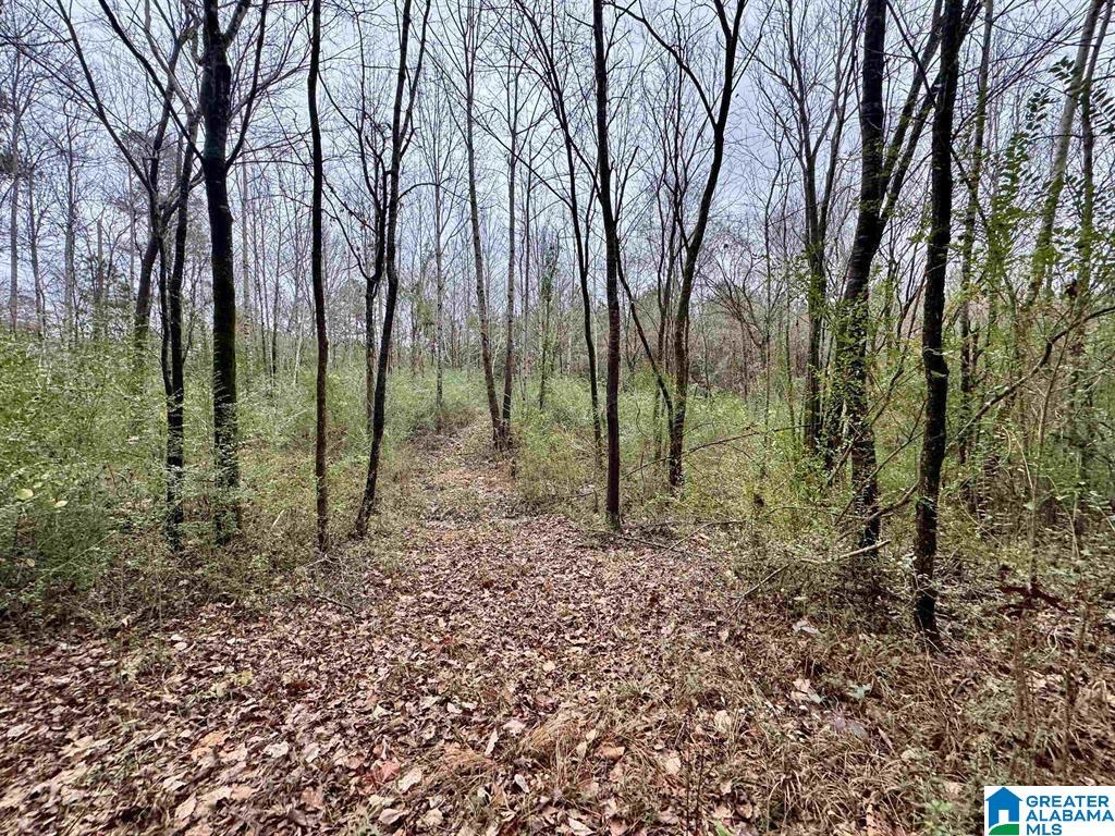 8260 Kermit Jhonson Road, Unit 2 Pinson, AL 35126 - Photo 2 of 3