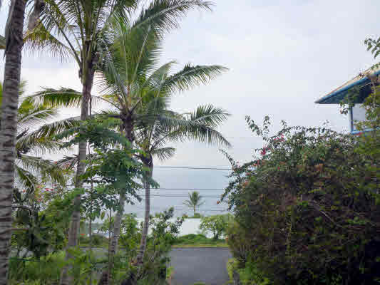 87-3188 Carissa Road Captain Cook, HI 96704 - Photo 11 of 24 Gallery Image 11