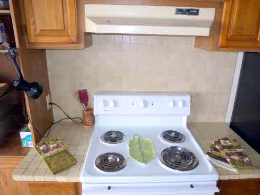 87-3188 Carissa Road Captain Cook, HI 96704 - Photo 9 of 24 Gallery Image 9