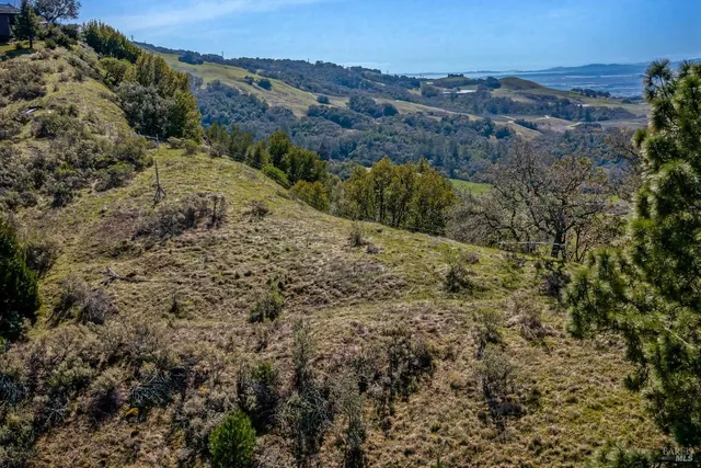 an aerial view of mountain with trees around