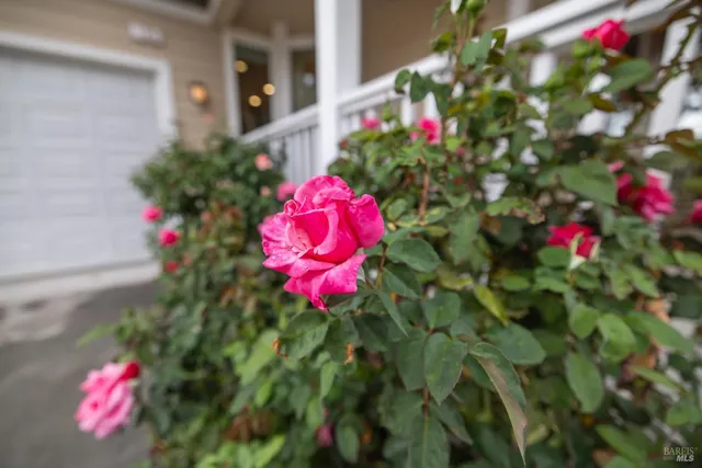 $899,000 | 125 Anish Way, Windsor, CA 95492