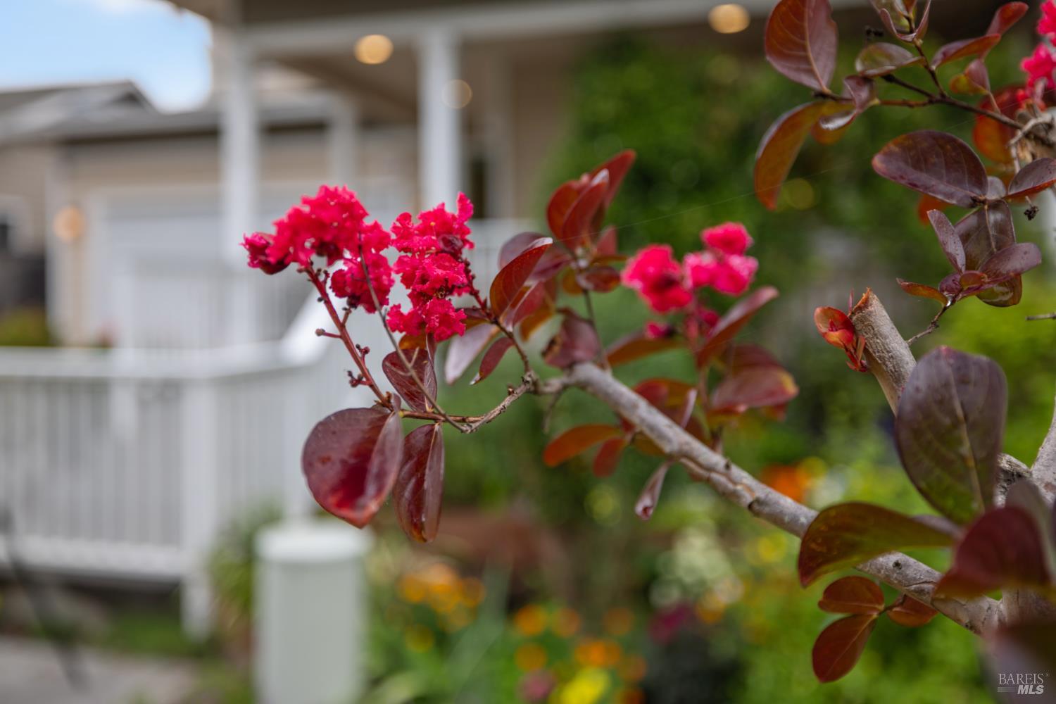 125 Anish Way Windsor, CA 95492 - Photo 36 of 59