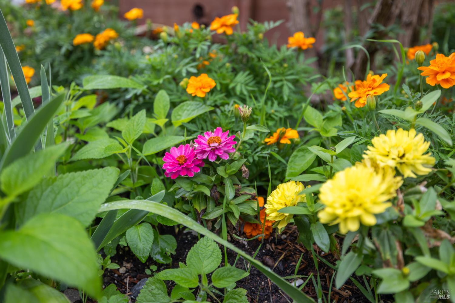 125 Anish Way Windsor, CA 95492 - Photo 37 of 59