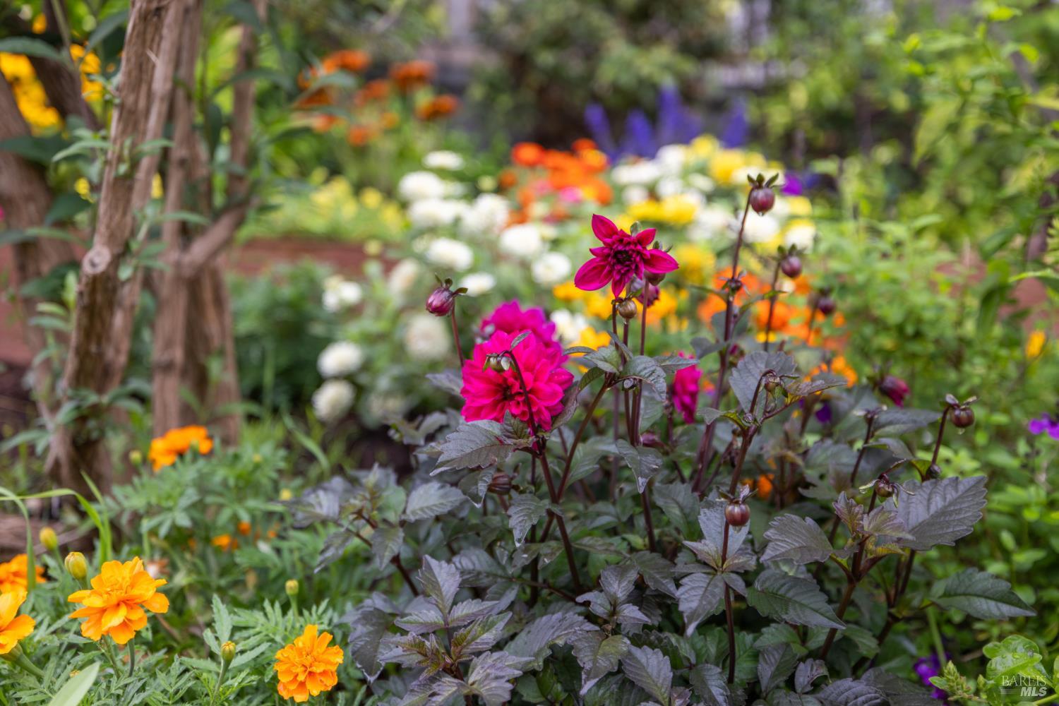 125 Anish Way Windsor, CA 95492 - Photo 38 of 59