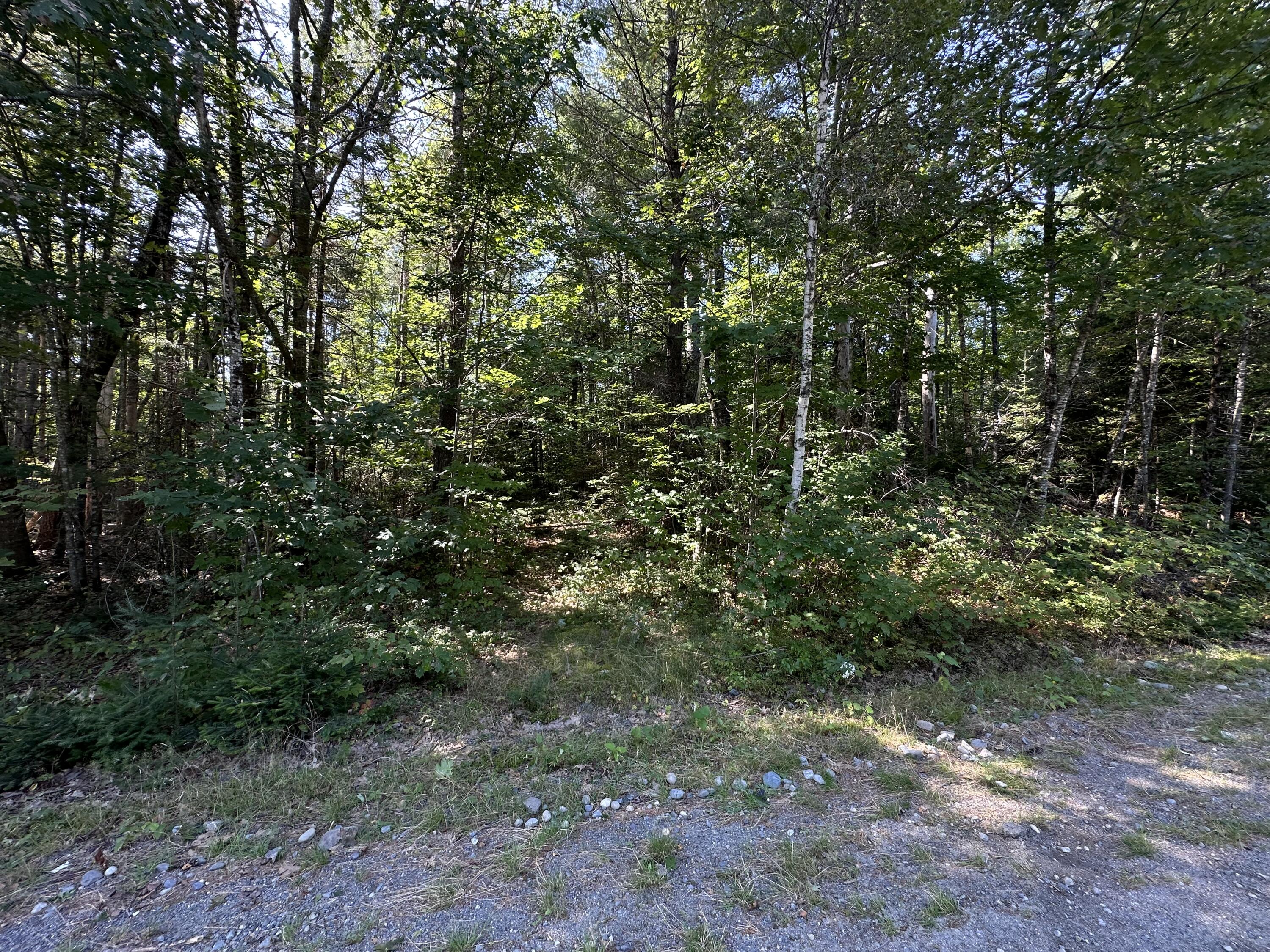 0 Dunham Road Milo, ME 04463 - Photo 6 of 9