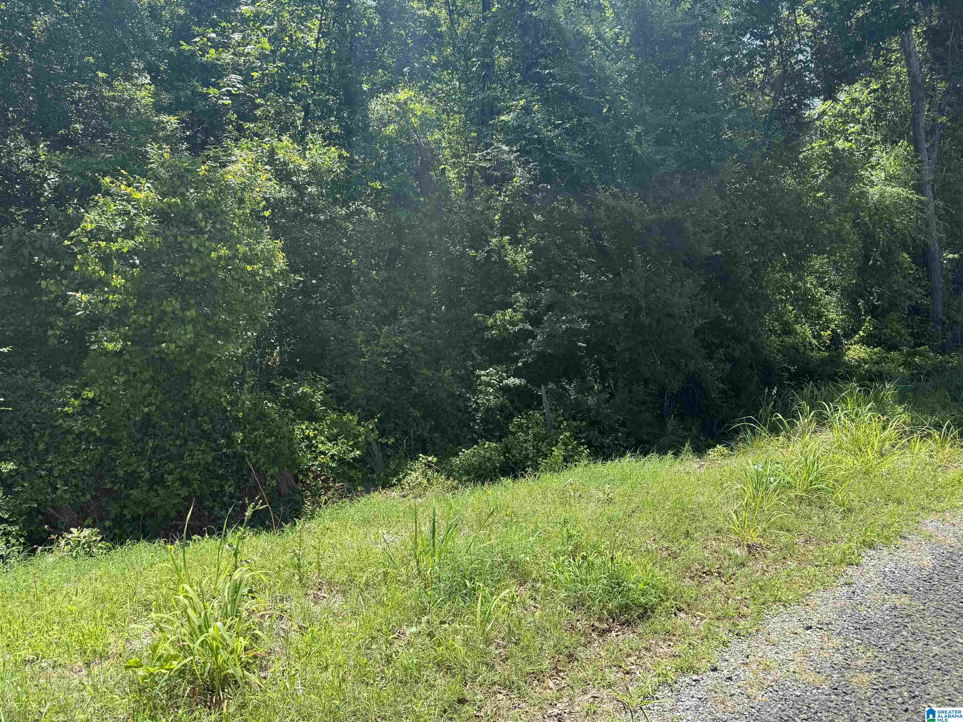 0 Murdock Road Attalla, AL 35954 - Photo 2 of 3