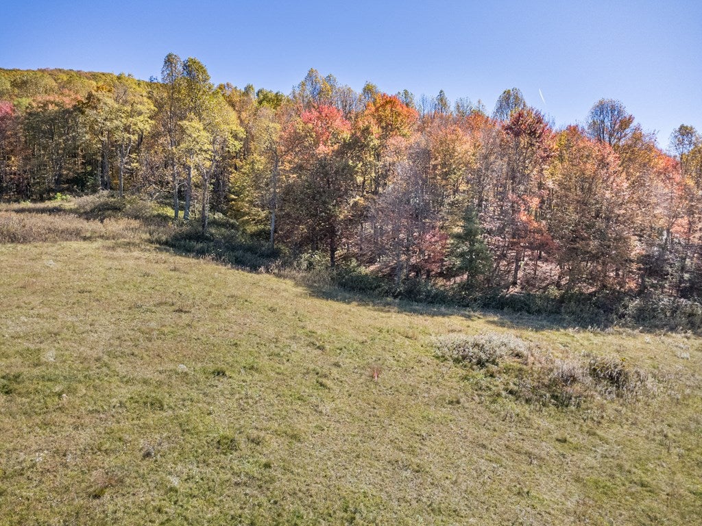 897 Phadettia Road Southwest Willis, VA 24380 - Photo 7 of 21 Gallery Image 7